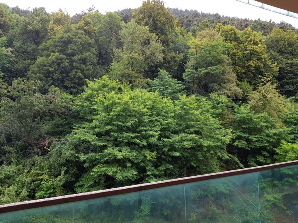 Apartmentsbnb828 Brassó Kültér fotó